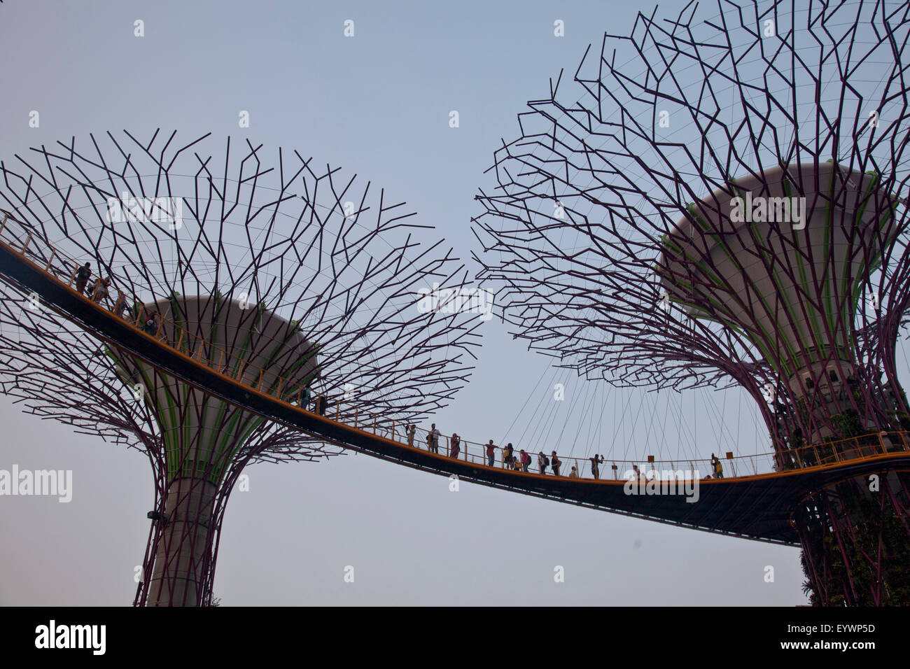 Touristen besuchen die Sky Walk in Gärten, an der Bucht in Singapur