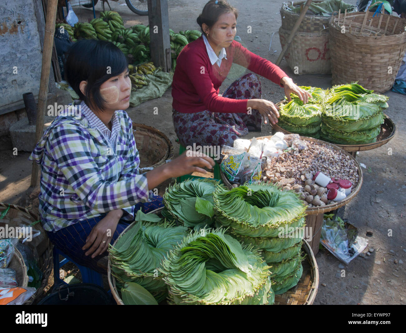 Betelblätter zum Verkauf zu Paan, Mandalay, Myanmar (Burma), Asien Stockfoto