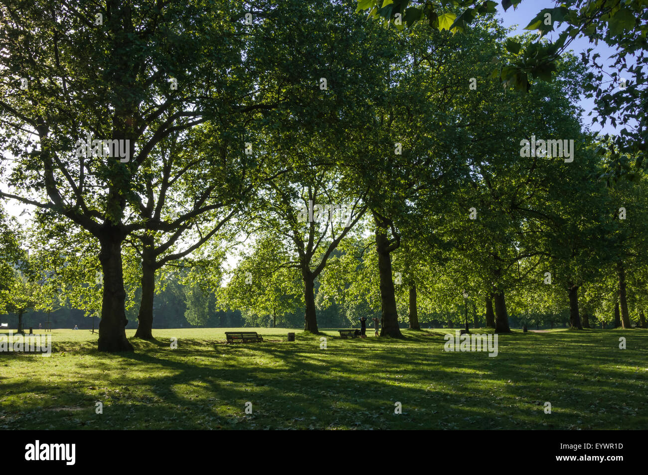 Morgensonne, St. James Park, London, England, Vereinigtes Königreich, Europa Stockfoto