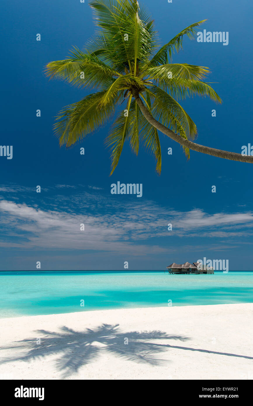 Luxus-Überwasser-Bungalow auf Gili Lankanfushi Resort Malediven und Strand mit Palmen, Malediven, Indischer Ozean, Asien Stockfoto