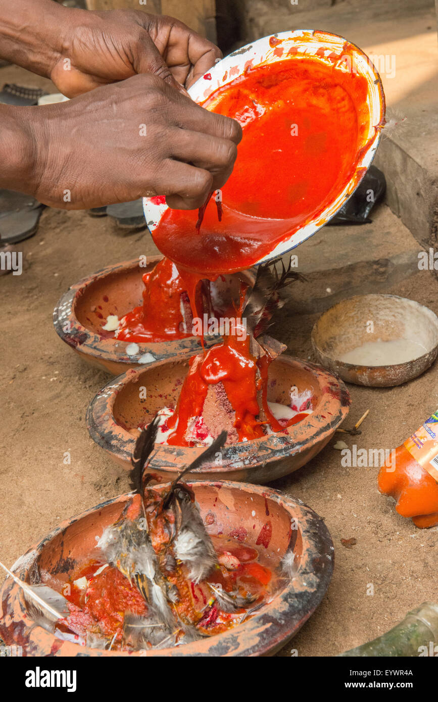 Voodoo-Ritual durchgeführt in Ouidah, Benin, Westafrika, Afrika Stockfoto
