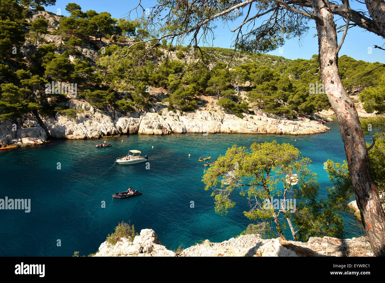 Port-Pin Creek in der Nähe von Cassis, Bouches du Rhone, Provence, Frankreich, Europa Stockfoto