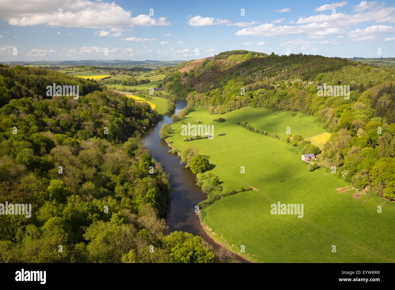 Blick über Wye Valley von Symonds Yat Rock, Symonds Yat, Forest of Dean, Herefordshire, England, Vereinigtes Königreich, Europa Stockfoto