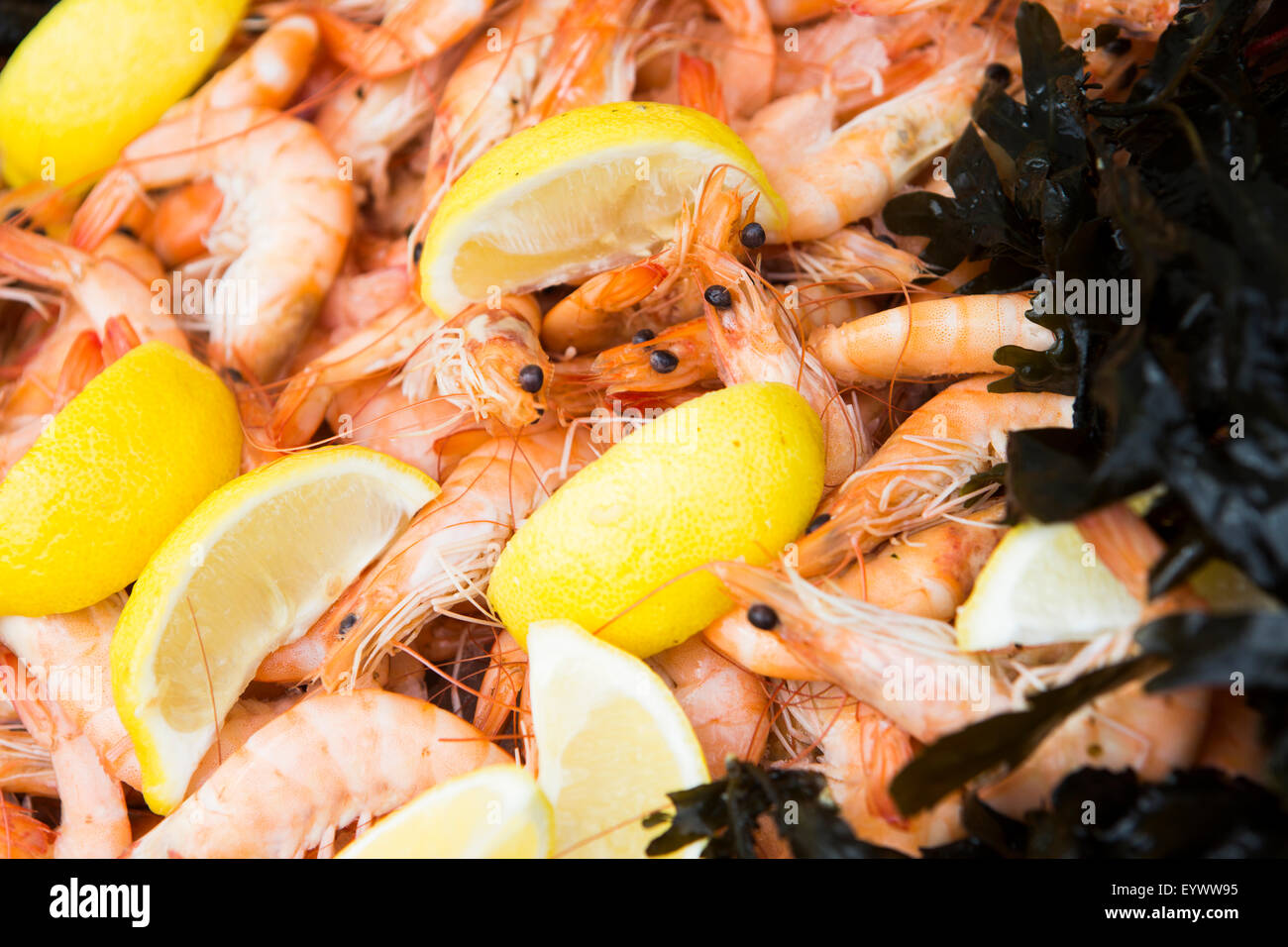 Details der Meer Lebensmittel Plattenteller - Garnelen mit Zitronenspalten und Algen. Stockfoto