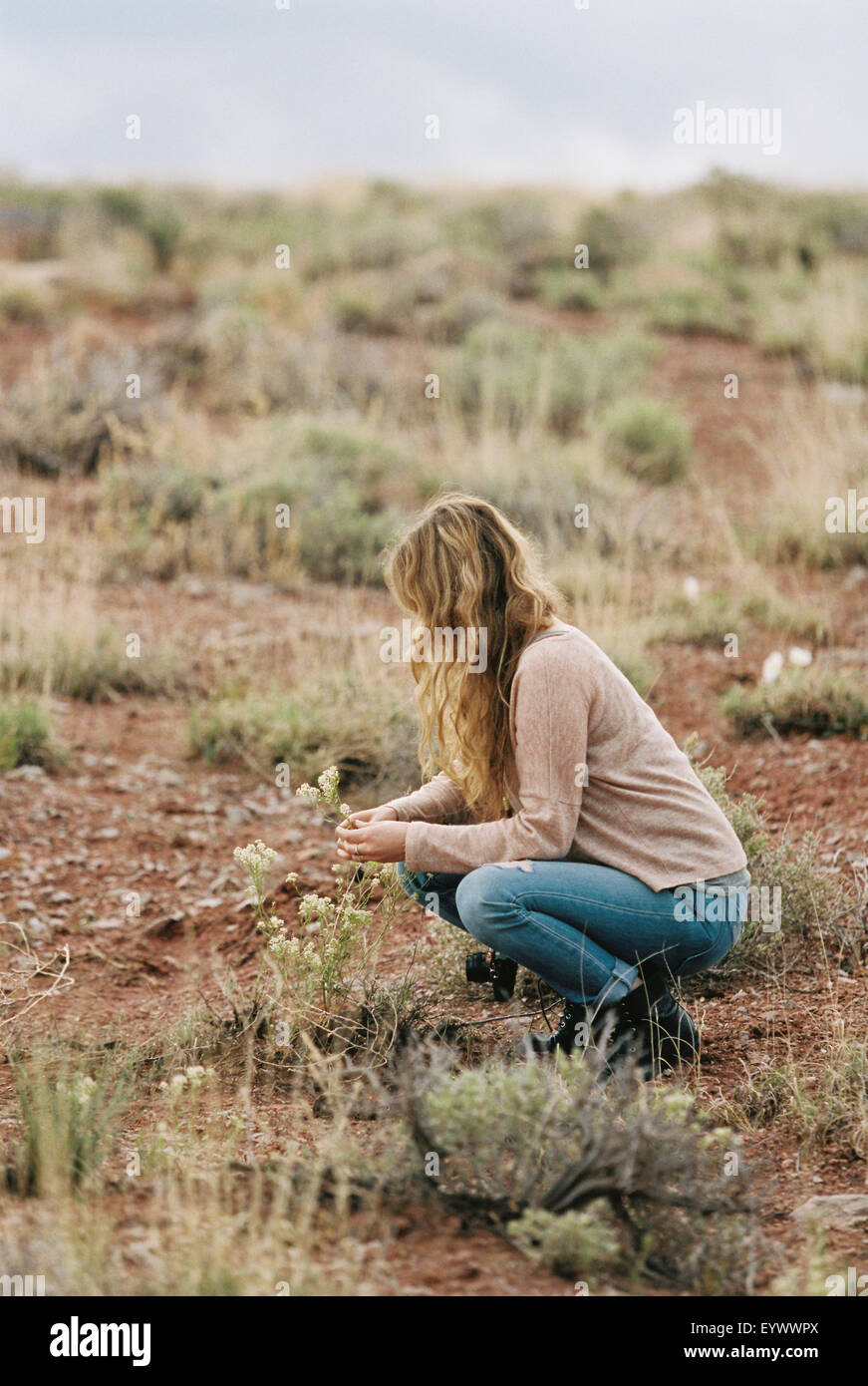 Frau kniend in einer Wüste, wilde Blumen zu pflücken. Stockfoto