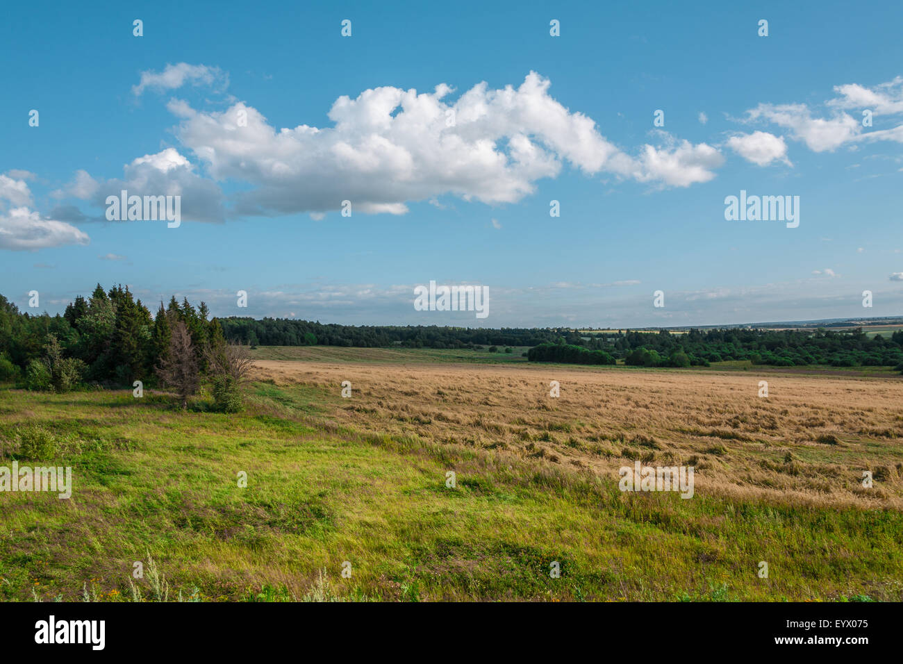 Landwirtschaftliche Landschaft Stockfoto