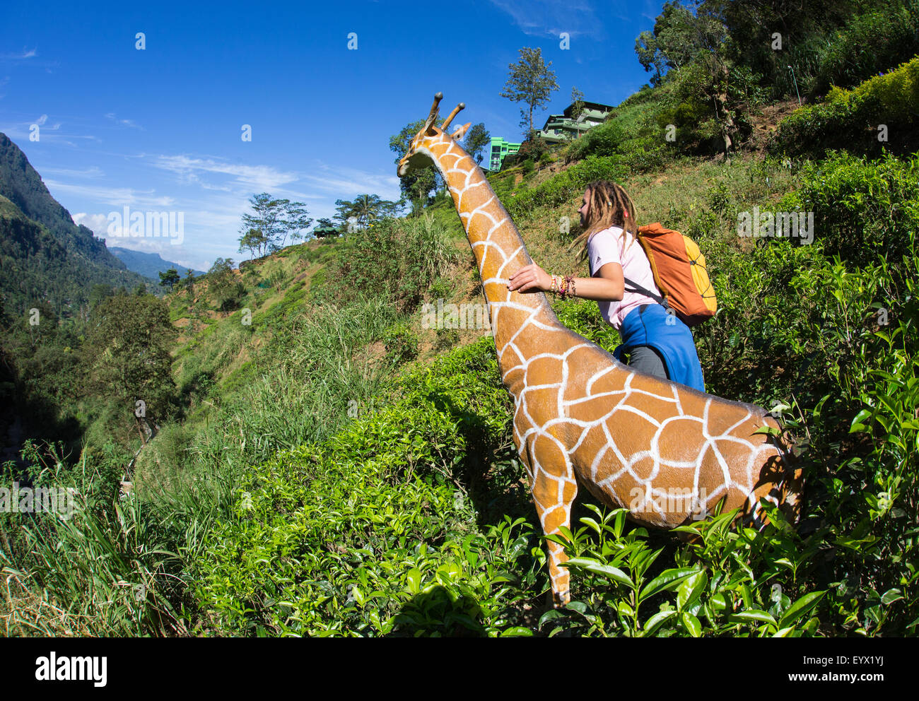 Mutter-giraffe Stockfoto