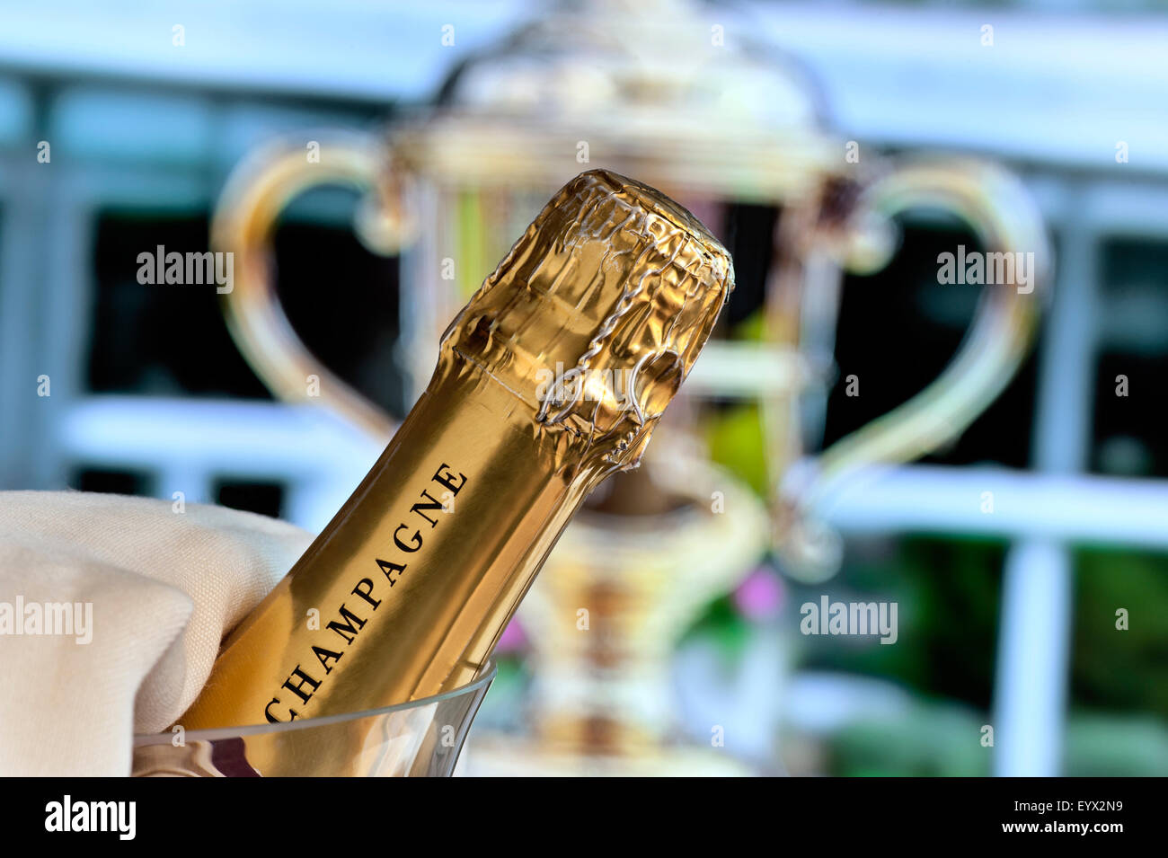 GOLD CUP GEWINNER ASCOT Close view auf Champagner-Flasche im Weinkühler mit Royal Ascot Ladies Day Gold Cup im Hintergrund Ascot Berkshire UK Stockfoto