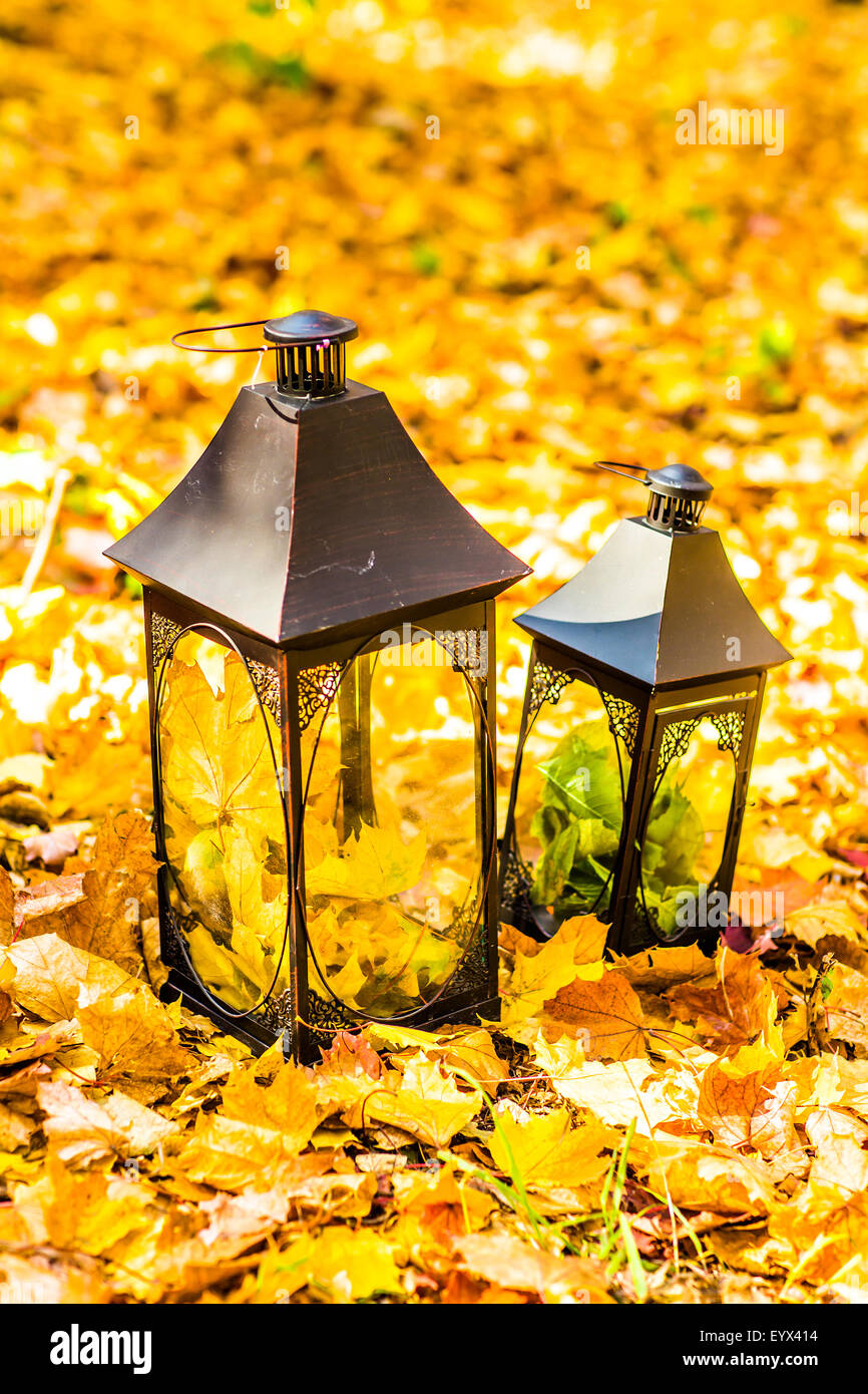Laterne in ein Herbstliches Laub Stockfoto