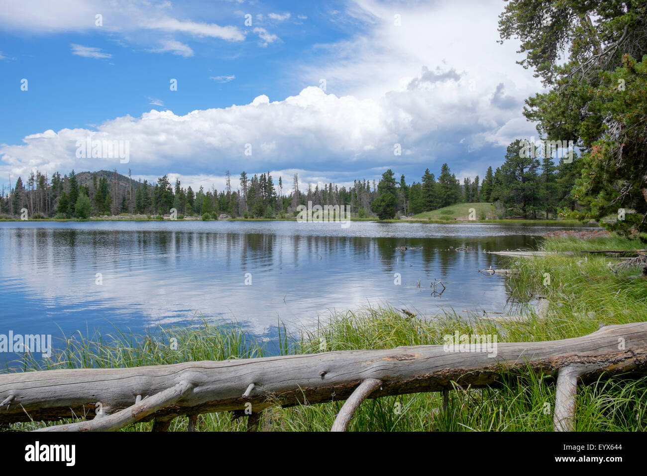 Sprague Lake in Colorado Rocky Mountains Nationalpark USA Stockfoto