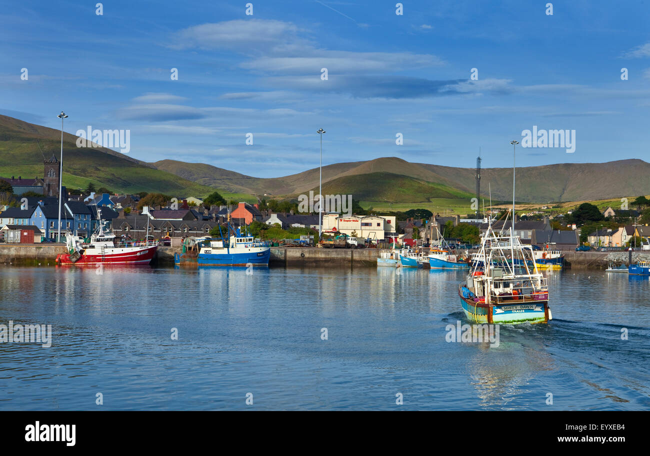 Rückkehr, Fischerboot, Stadt Dingle Harbour, Halbinsel Dingle, County Kerry, Irland Stockfoto