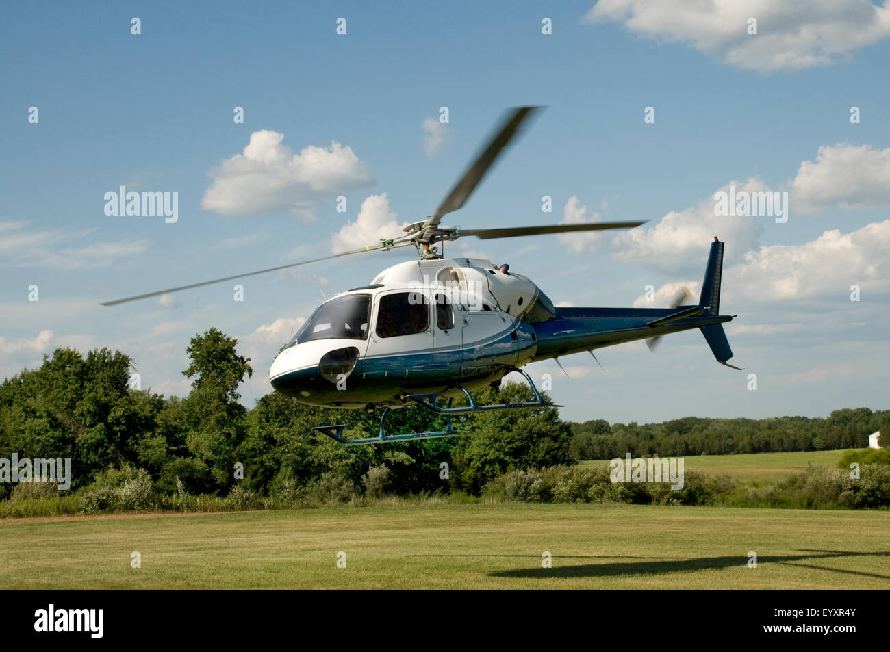 Blaue und weiße Hubschrauber abheben und landen in einem Feld Stockfoto
