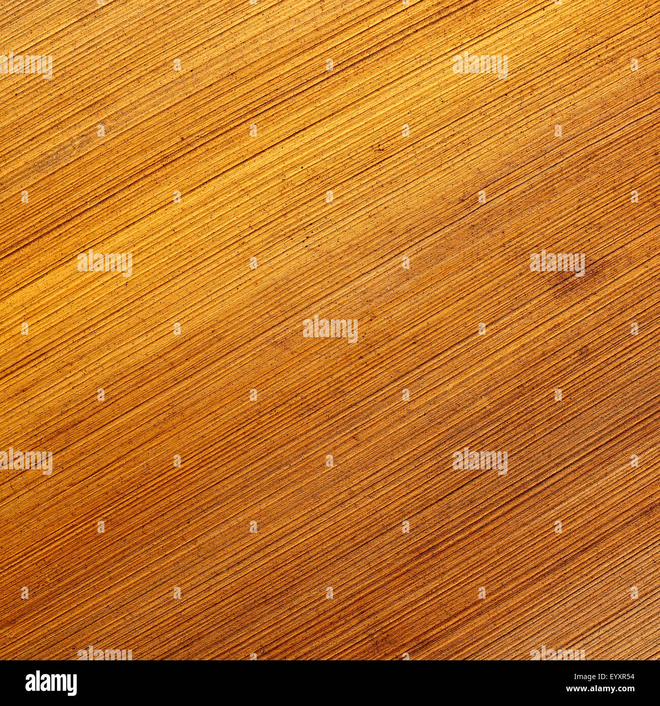 Palm-Leaf-Textur-Serie Stockfoto