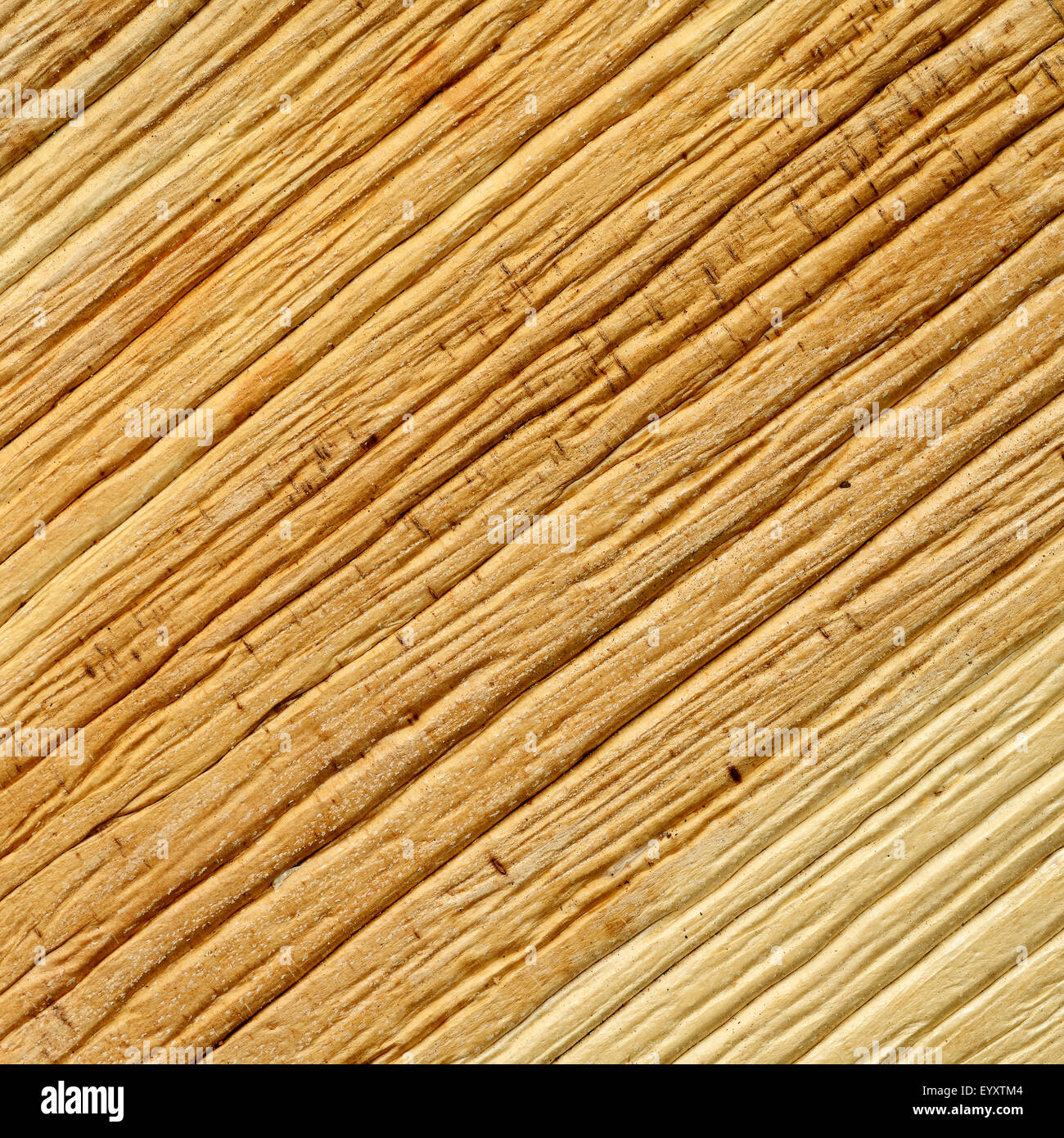 Palm-Leaf-Textur-Serie Stockfoto