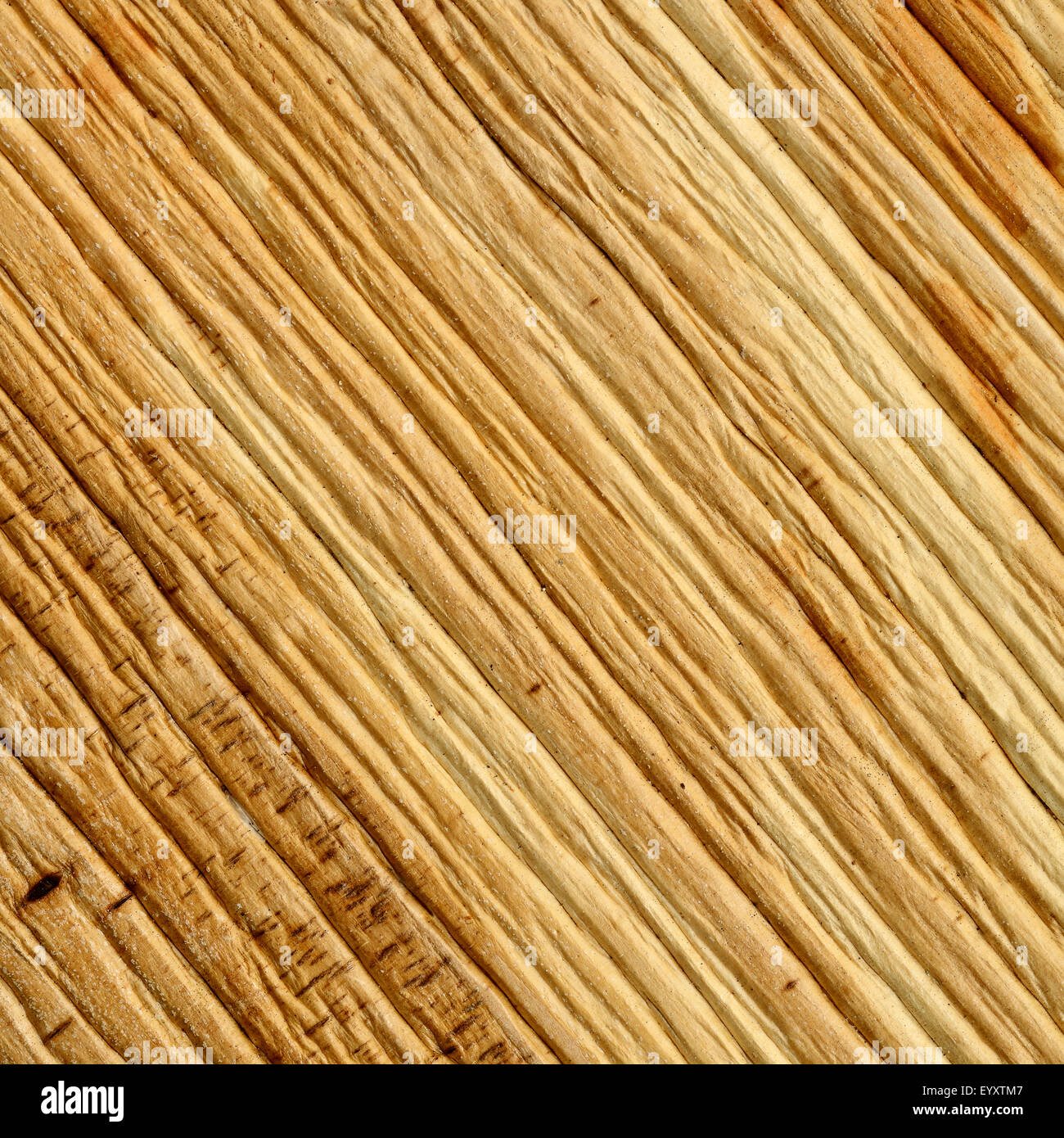 Palm-Leaf-Textur-Serie Stockfoto