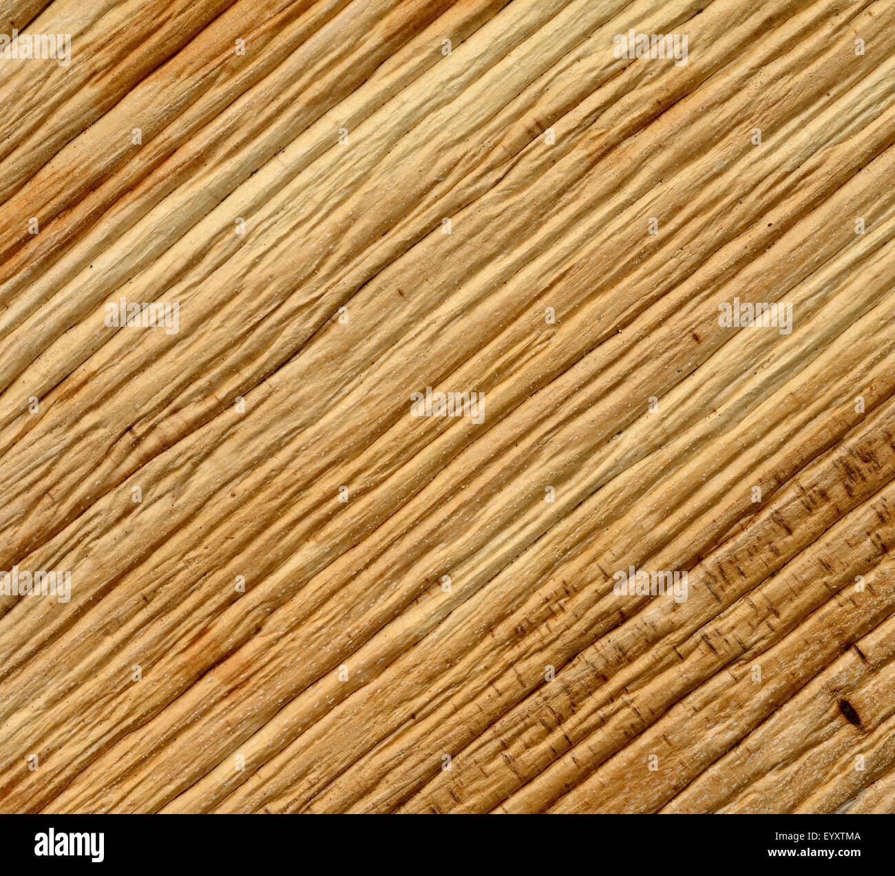 Palm-Leaf-Textur-Serie Stockfoto