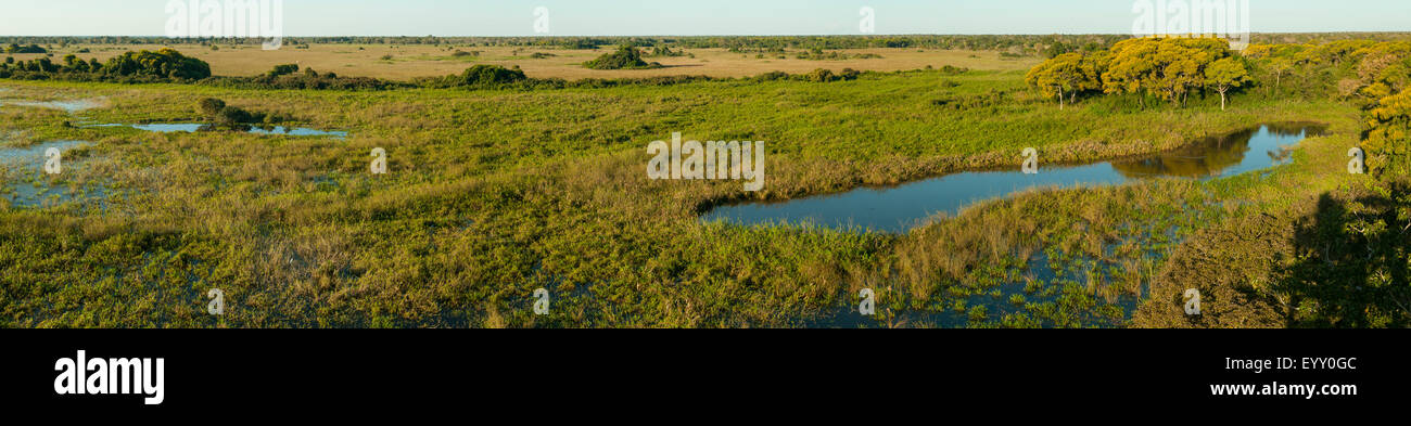 Tropische Feuchtgebiete Panorama, Araras Lodge Pantanal, Brasilien Stockfoto