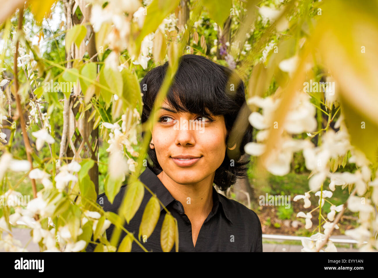 Hispanic Frau lächelnd in Laub Stockfoto