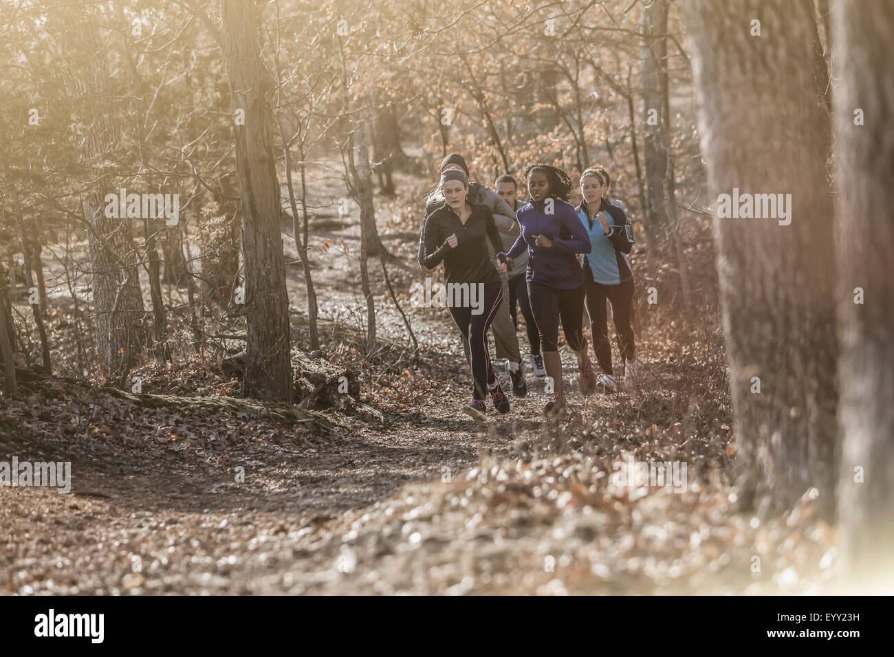 Läufer auf unbefestigten Weg im Wald joggen Stockfoto