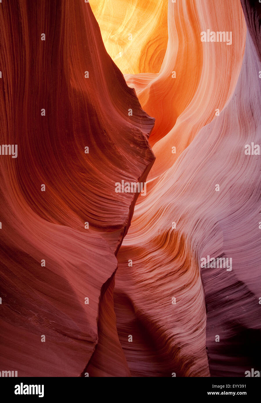Geschwungene Felsen Wände im Antelope Canyon, Page, Arizona, Vereinigte Staaten von Amerika Stockfoto