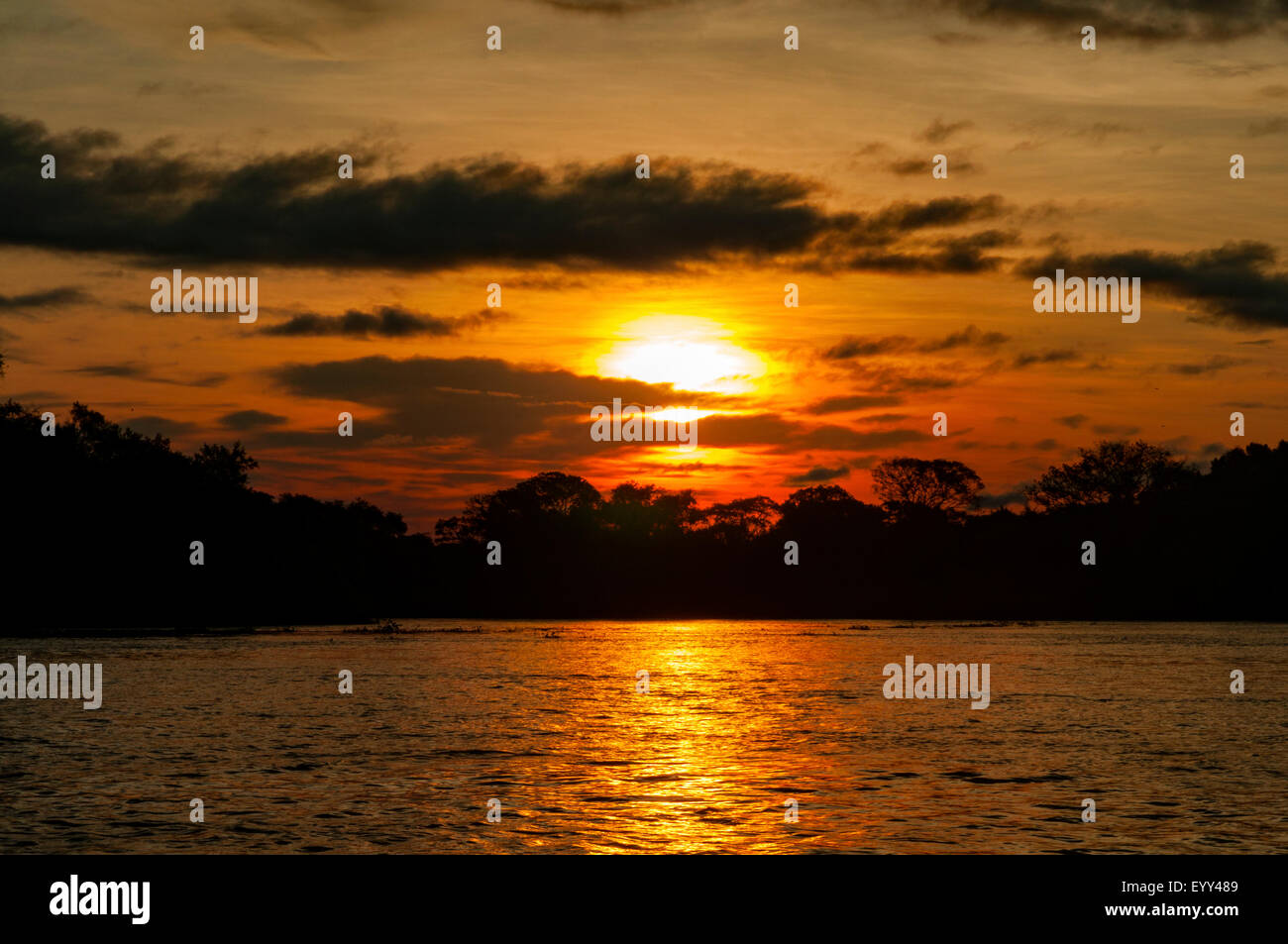 Sonnenuntergang über Cuiaba River, Pantanal, Brasilien Stockfoto