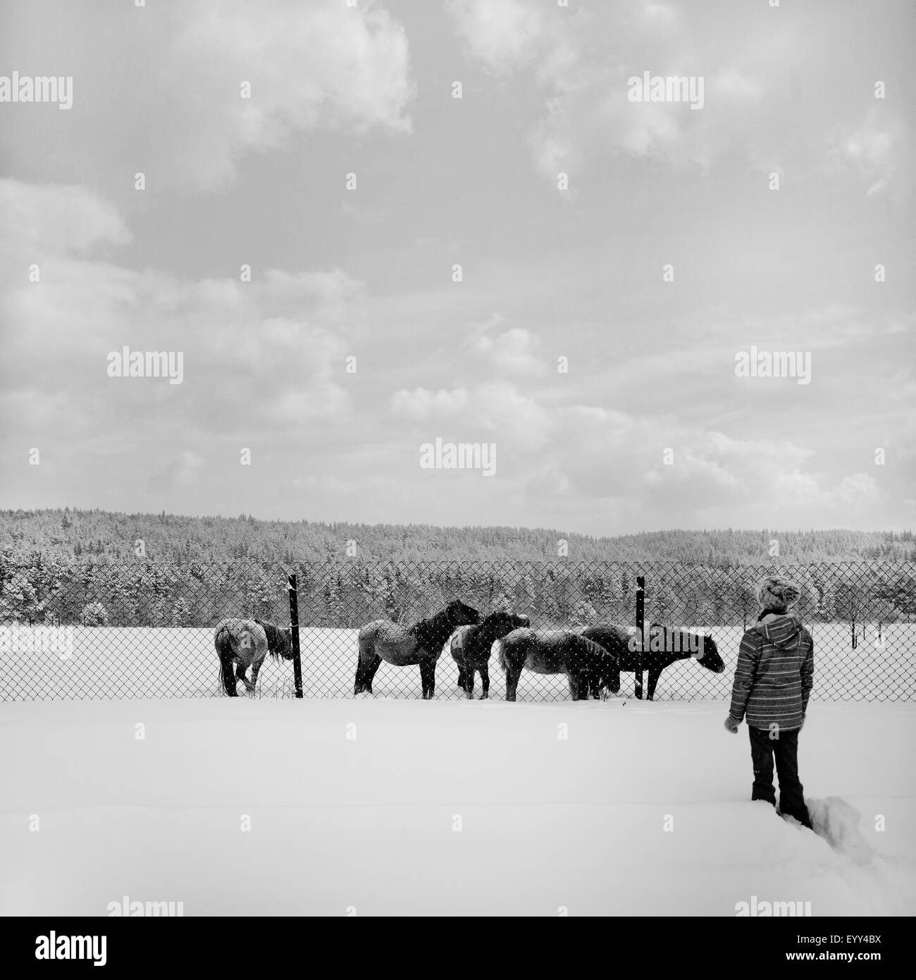 Kaukasische Mädchen in schneebedeckten Feld zu Fuß, zu Pferde Stockfoto