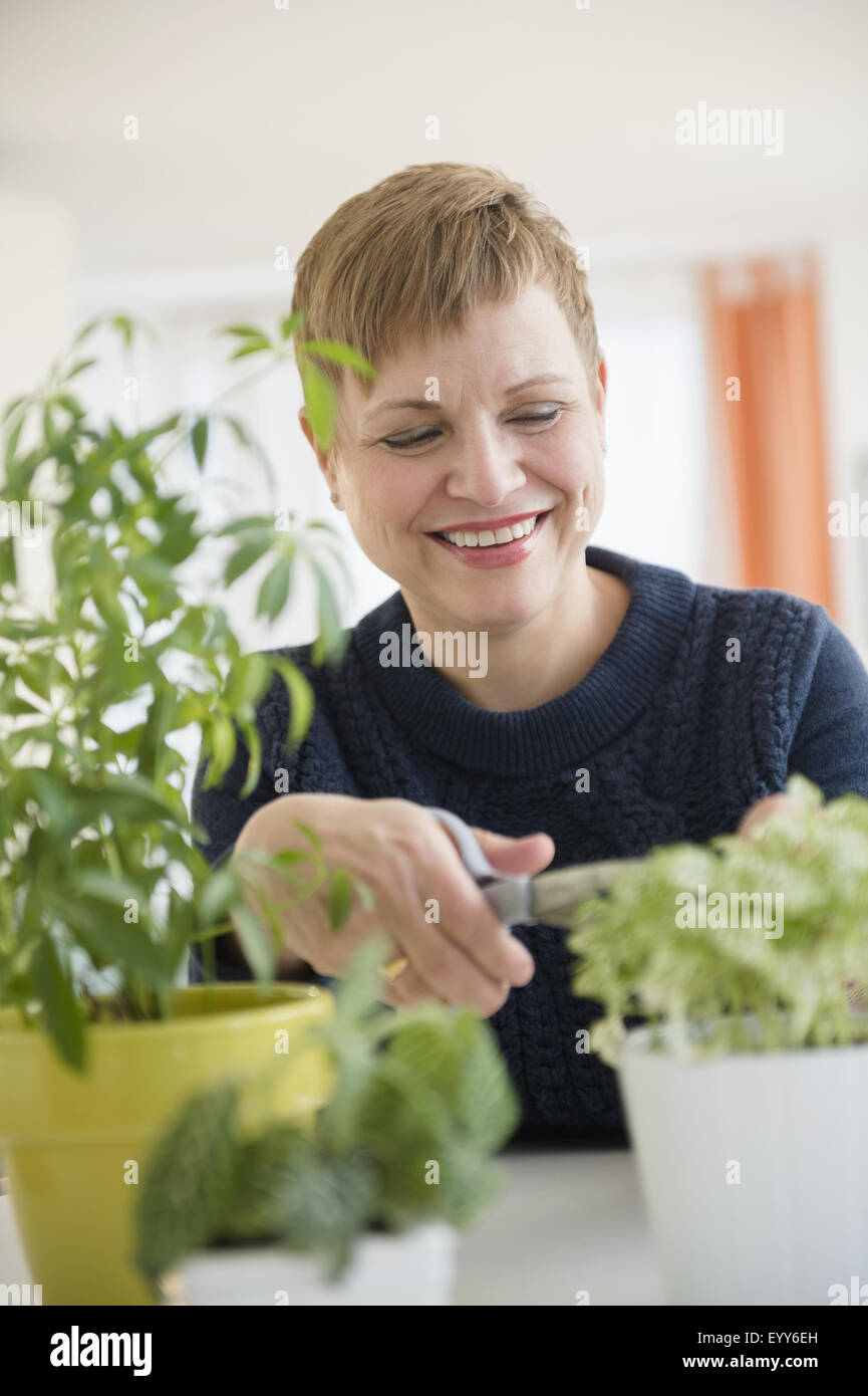Kaukasische Frau Rebschnitt Zimmerpflanzen Stockfoto