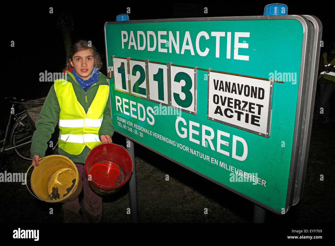 in der Nähe von Natur Mädchen hilft auf die Kröten migrieren, Hinweisschild, Belgien Stockfoto