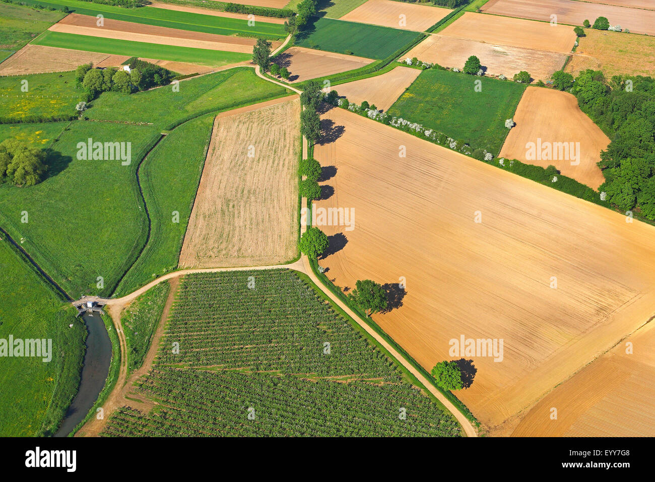 Felder und Wiesen aus der Luft, Belgien Stockfoto