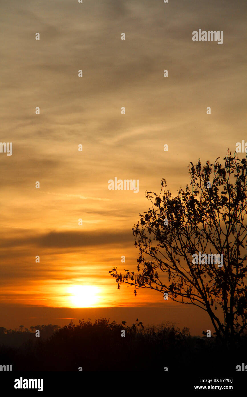 Cirrostratus Wolken bei Sonnenuntergang Stockfoto