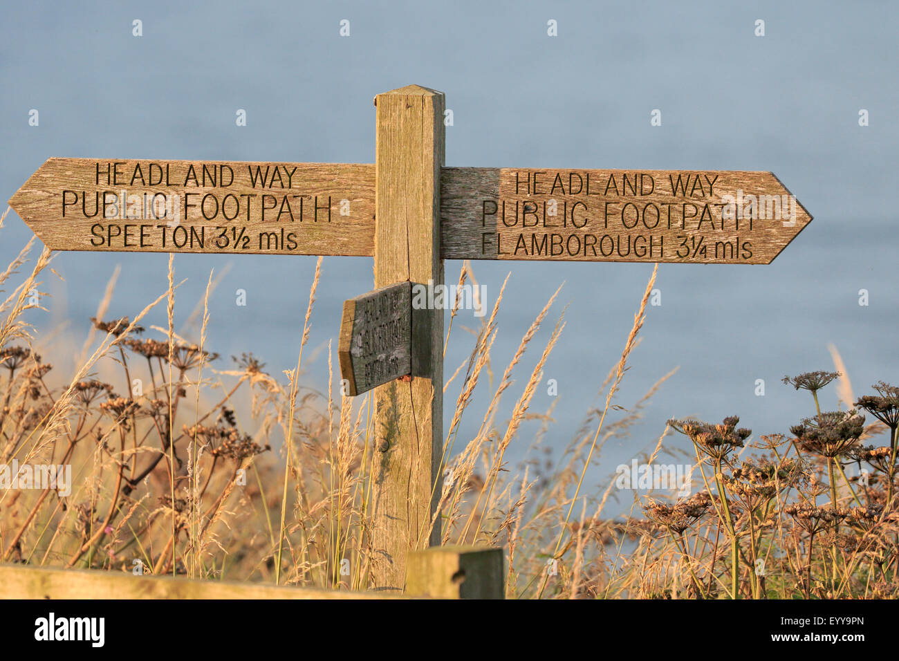 Blick auf die Landzunge Weg Fußweg Holzschild Bempton RSPB Reserve Stockfoto