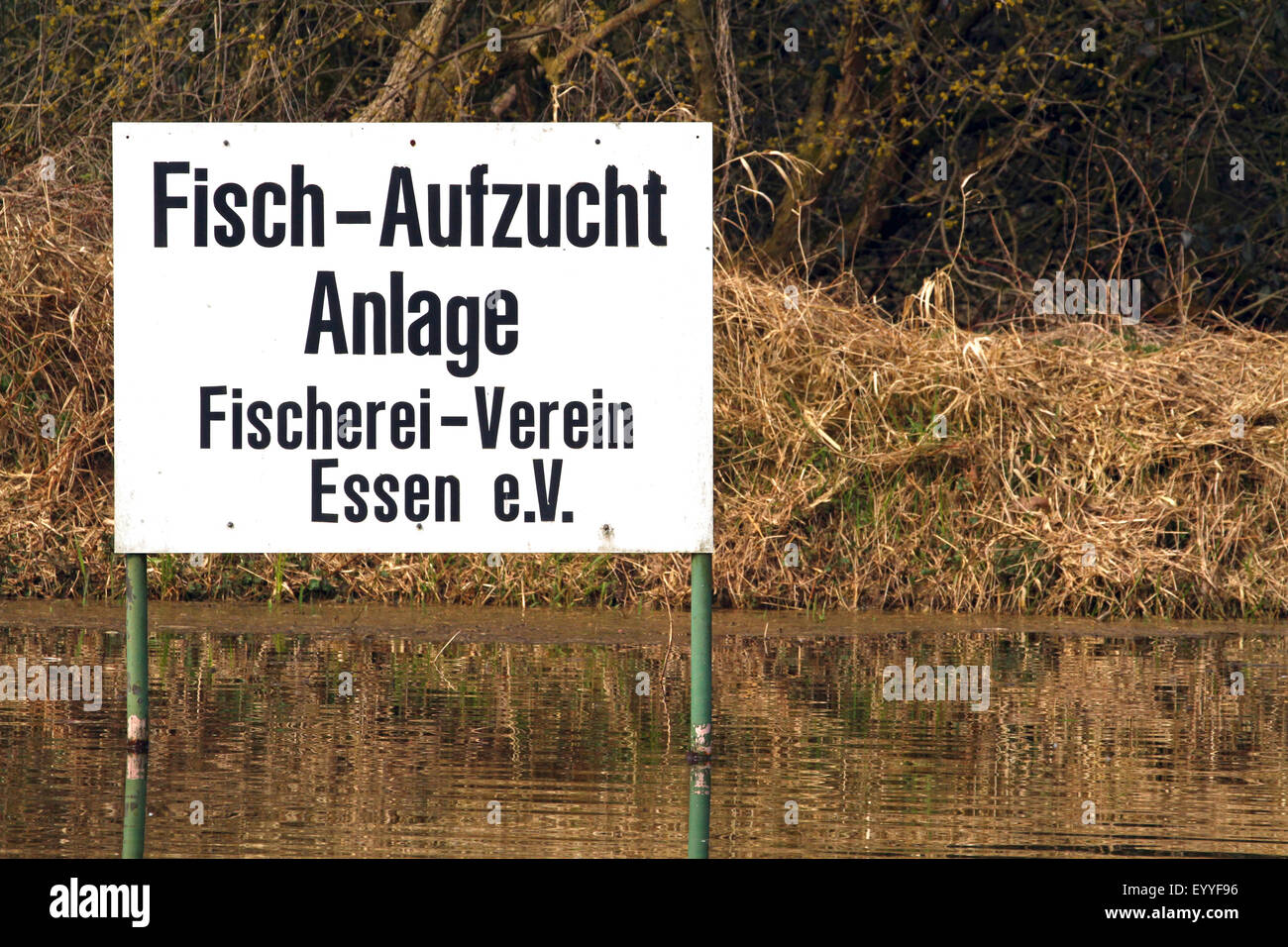 Informationsschild Fisch Aufzucht Teich, Essen, Ruhrgebiet, NRW, Deutschland Stockfoto