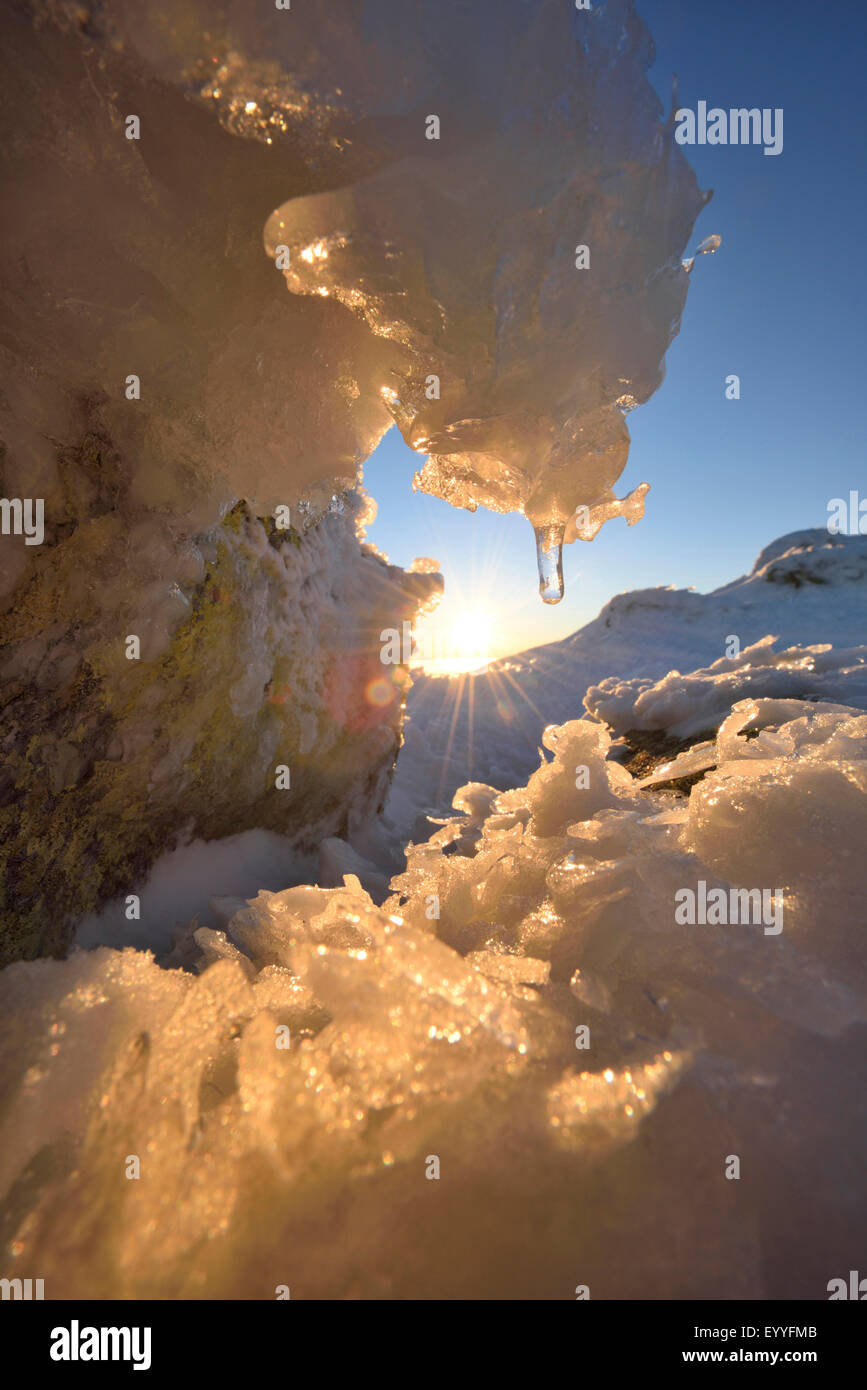 Sonnenaufgang in eisigen am frühen Morgen in Winter, Deutschland, Bayern, Nationalpark Bayerischer Wald Stockfoto