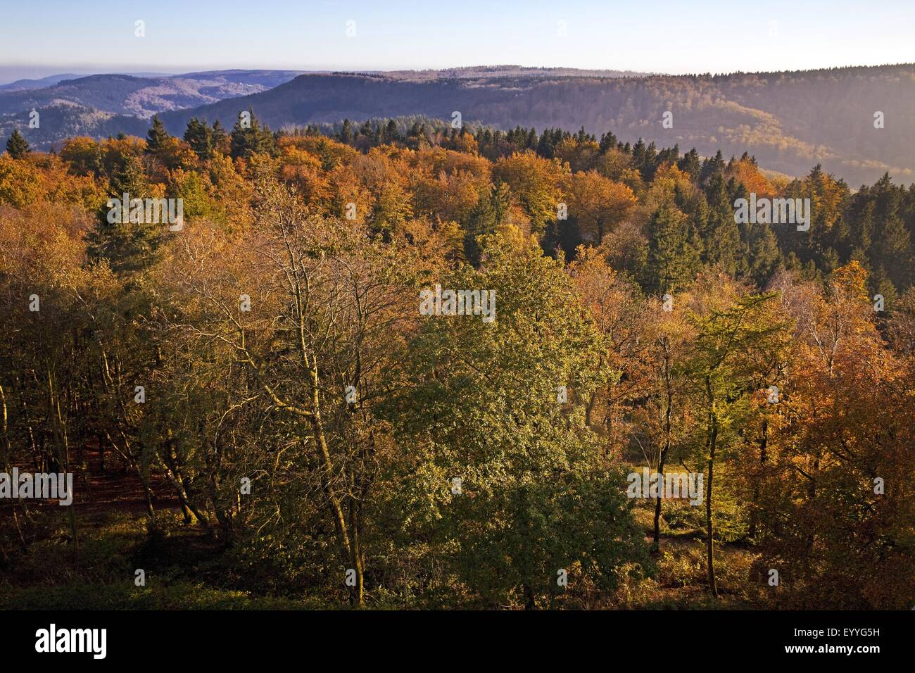 Blick vom Hermannsdenkmal Teutoburger Wald im Herbst, Deutschland, North Rhine-Westphalia, Detmold Stockfoto