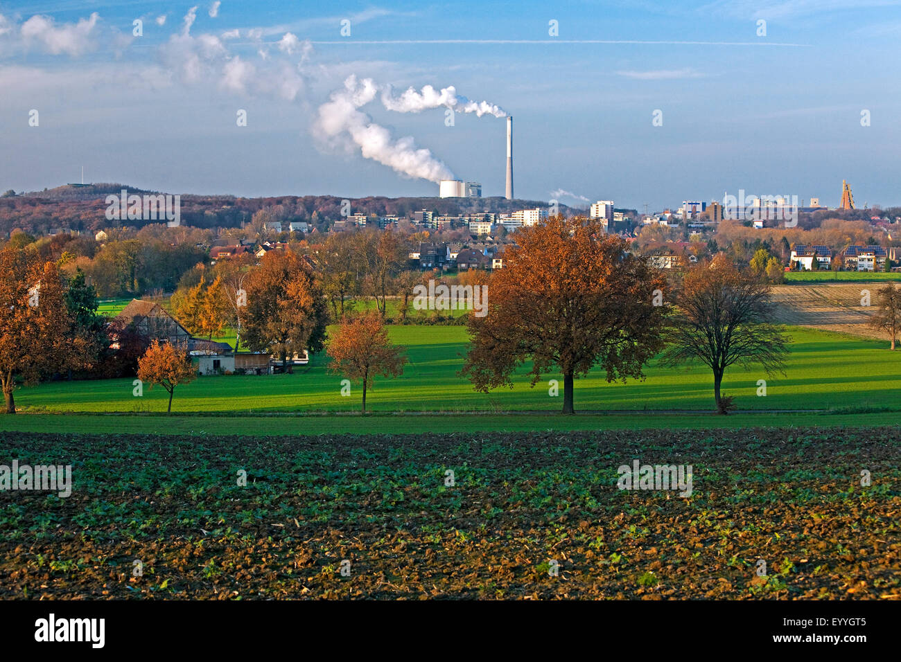 Landwirtschaft vor industrieller Kulisse vor Bergkame, Deutschland, Nordrhein-Westfalen, Ruhrgebiet, Bergkamen Stockfoto