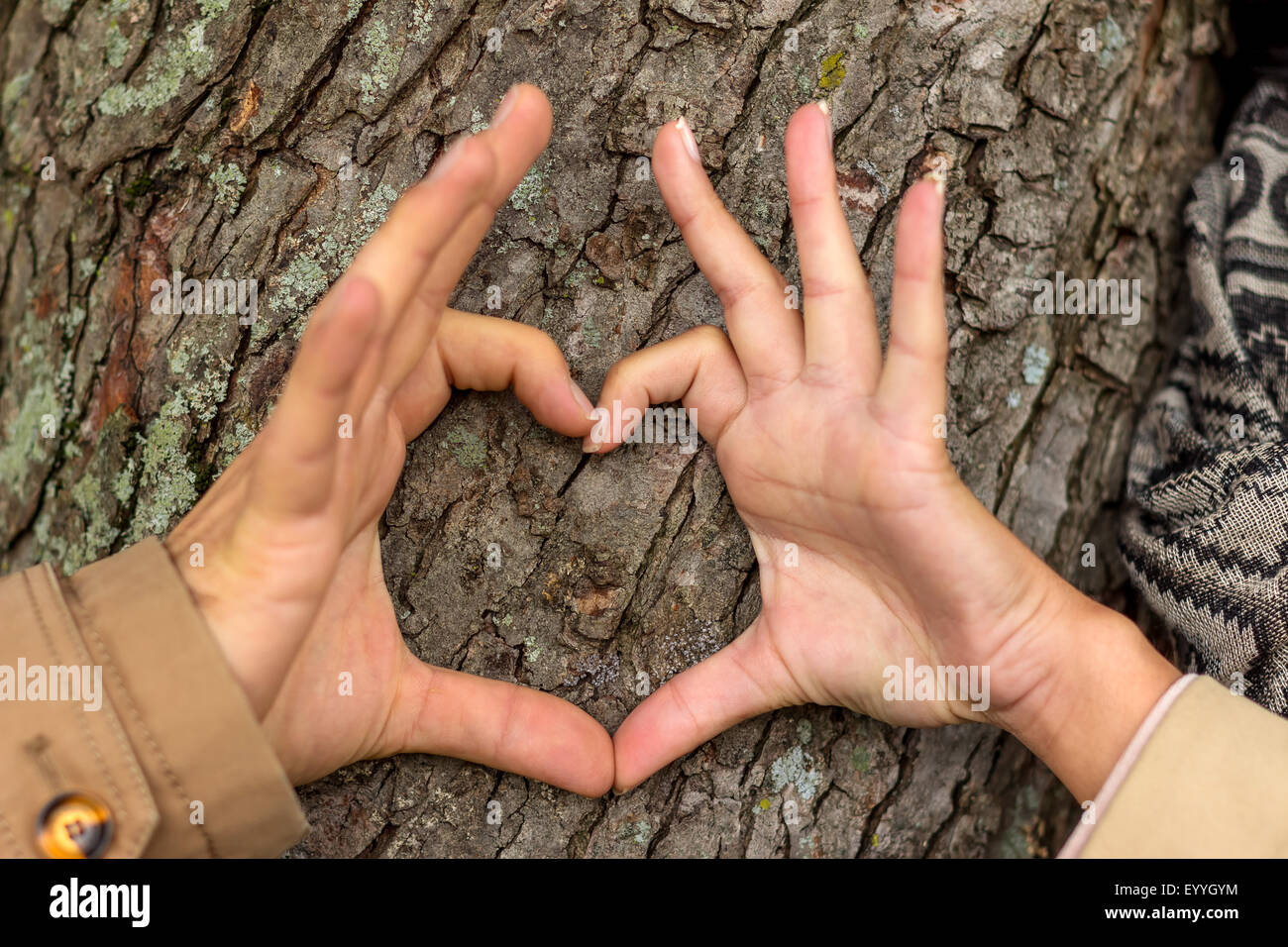 zu zweit gestalten mit ihren Händen ein Herz auf einem Baumstamm, Österreich Stockfoto