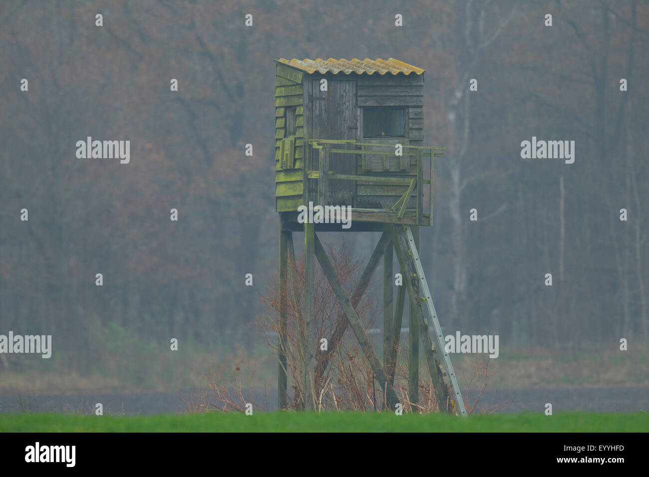 Jagd-Kanzel auf einem Feld im November, Deutschland, Nordrhein-Westfalen Stockfoto