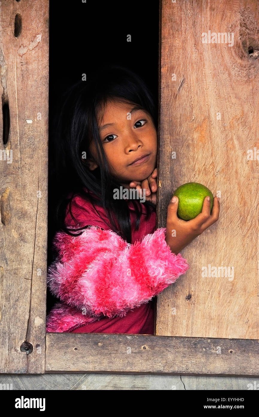 kleines Mädchen der Ifugao Menschen eine Zitrusfrucht in der Hand halten und suchen aus einer Holzhütte, Philippinen, Luzon, Banaue Stockfoto