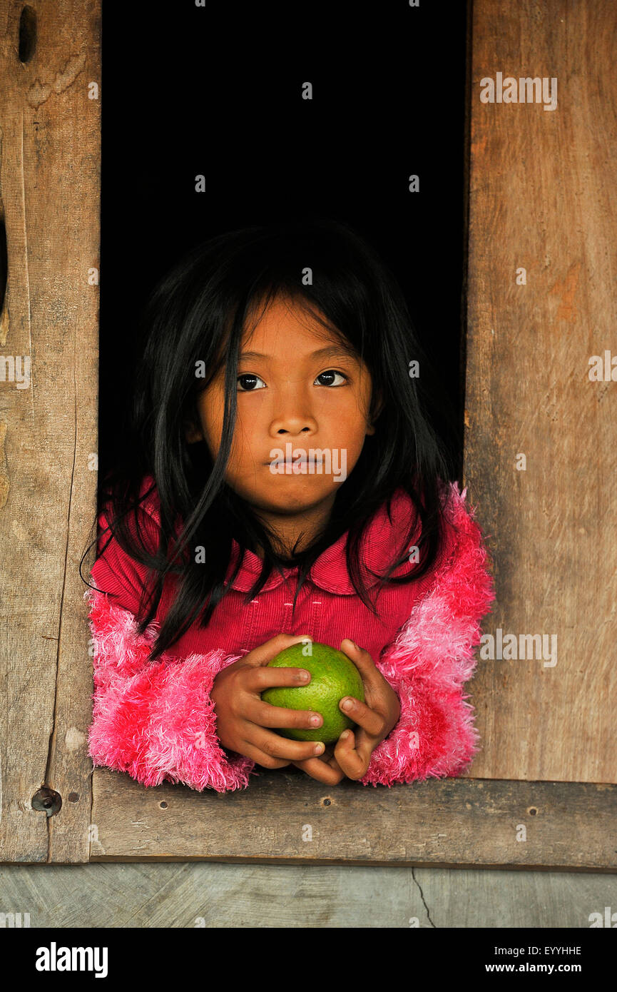 kleines Mädchen der Ifugao Menschen eine Zitrusfrucht in den Händen halten und suchen aus einer Holzhütte, Philippinen, Luzon, Banaue Stockfoto