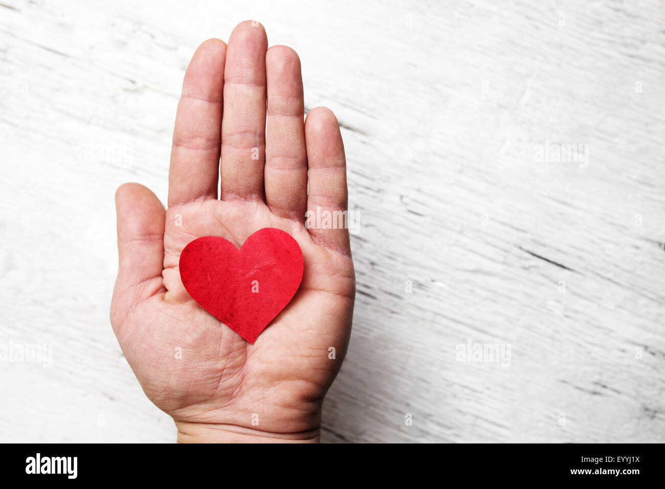 Herz in der menschlichen Hand. Weiße Holz Hintergrund Stockfoto