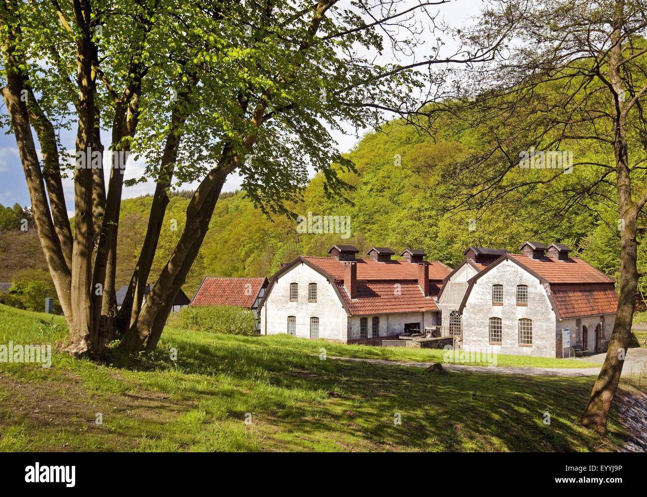 alten Zink rollende Mühle Hagen Open-air Museum, Deutschland, Nordrhein-Westfalen, Ruhrgebiet, Hagen Stockfoto