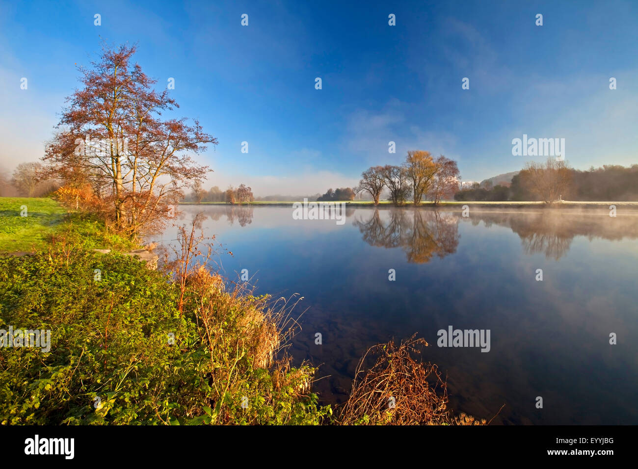 Ruhr-River im herbstlichen Morgenlicht, Witten, Ruhrgebiet, Nordrhein-Westfalen, Deutschland Stockfoto