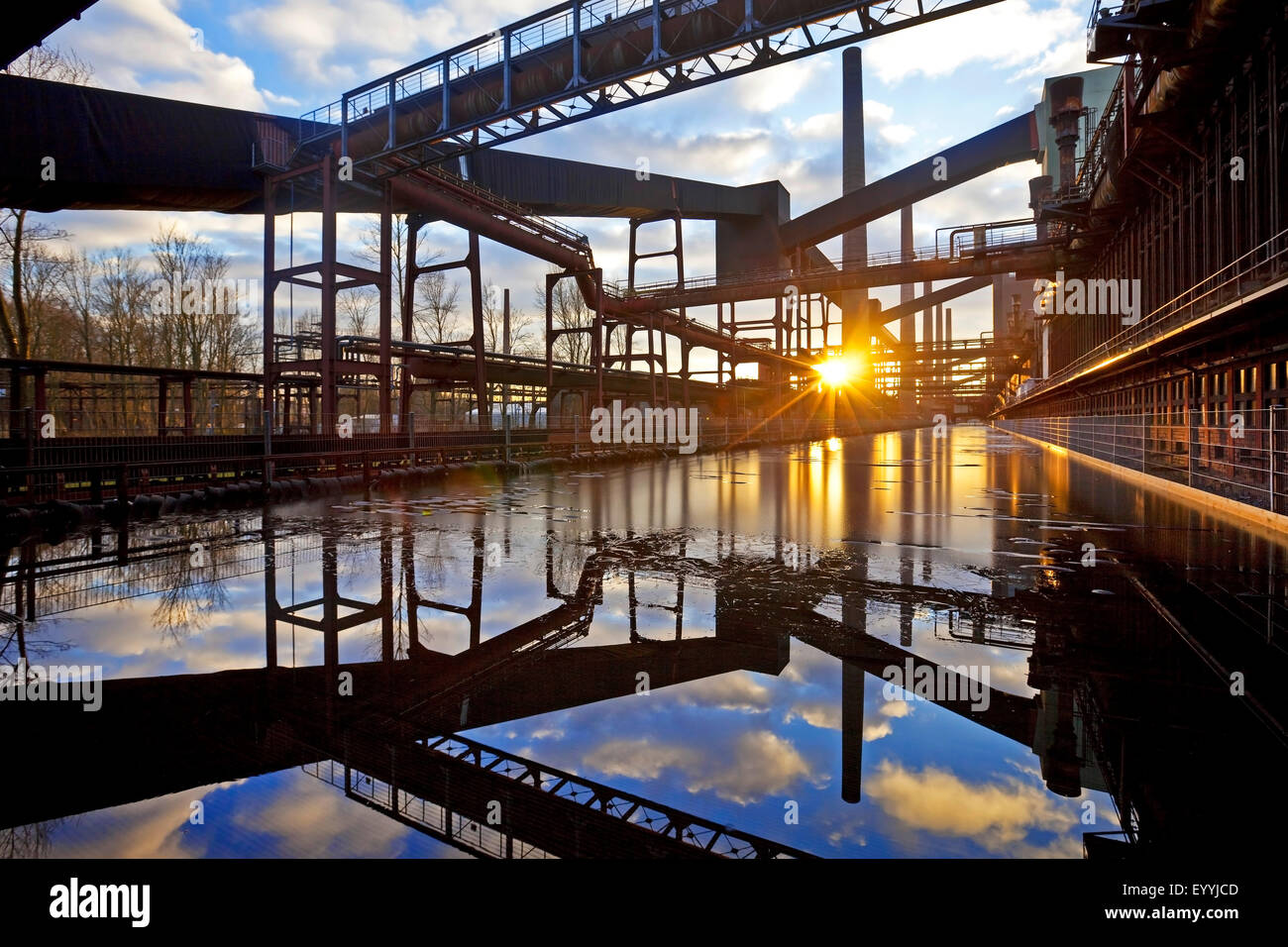 Kokerei Zollverein, Deutschland, Nordrhein-Westfalen, Ruhrgebiet, Essen Pflanzen Stockfoto