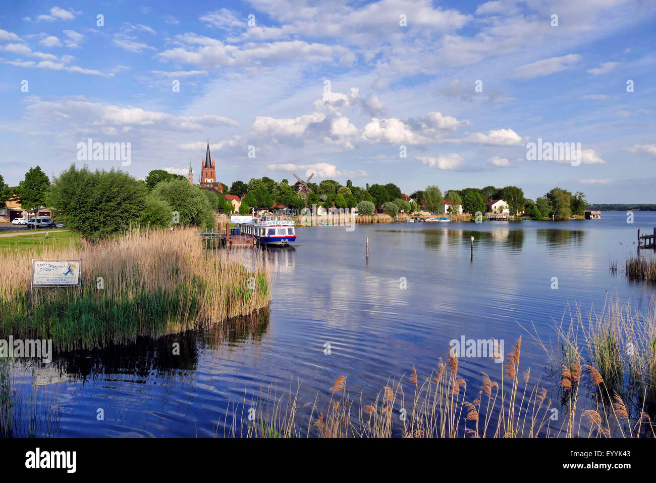 Werder (Havel), die Kirche des Heiligen Geistes und Ziegenmilch