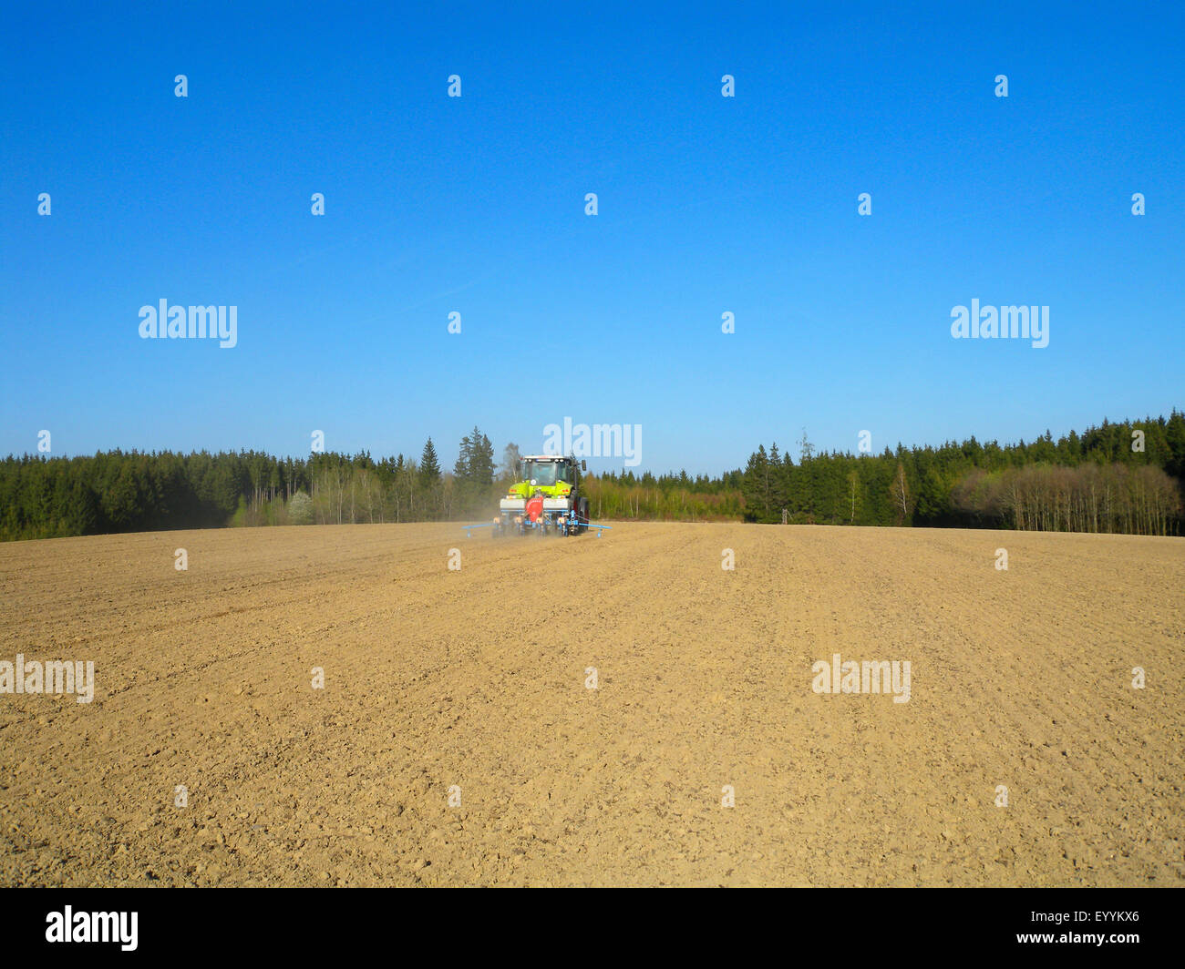 Bohren von Mais mit Traktor und Präzision Luft Sämaschine, Deutschland, Bayern Stockfoto