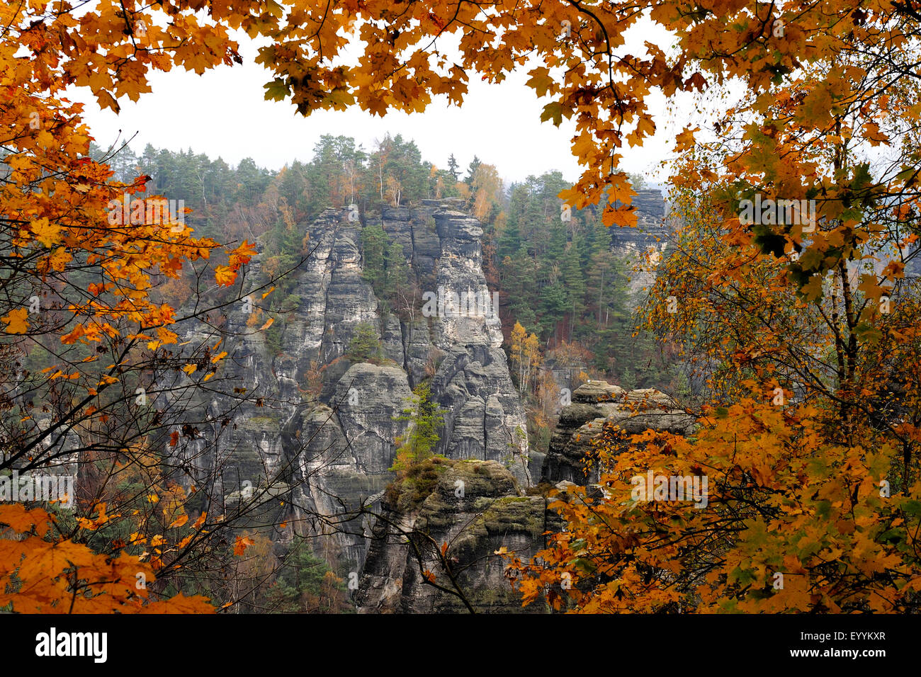 Blick von der Bastei ist eine Felsformation im Herbst, Deutschland, Sachsen, Nationalpark Sächsische Schweiz, Elbsandsteingebirge Stockfoto