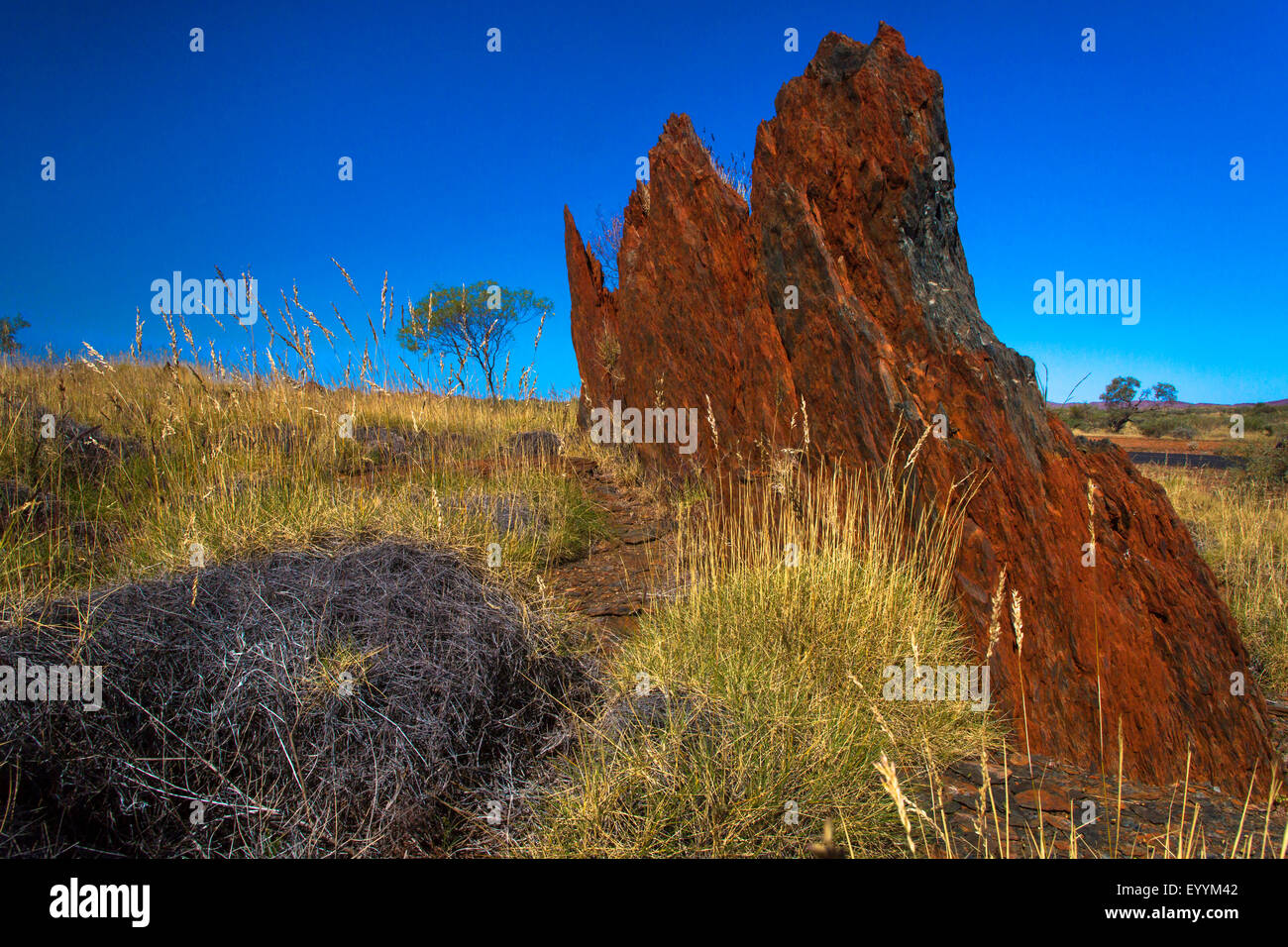verwitterte Felsen im australischen Outback, North West Coastal Highway, Barradale, Western Australia, Australien Stockfoto