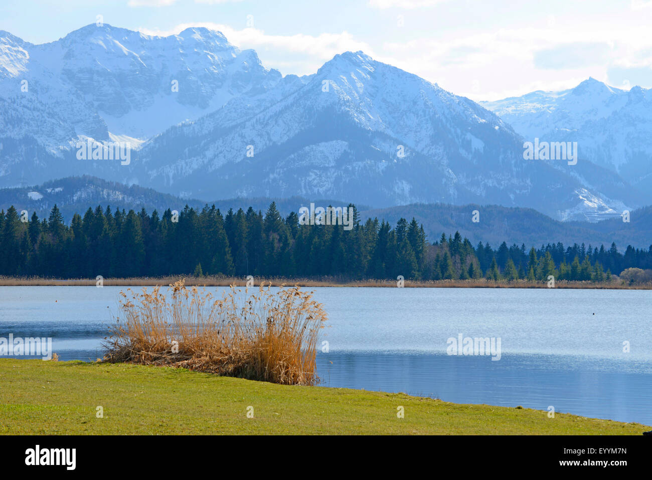 In der Nähe von Füssen, Hopfensee Blick auf den nördlichen Kalkstein Alpen an einem sonnigen Tag im März, Deutschland, Bayern, Ostallgaeu, Füssen Stockfoto