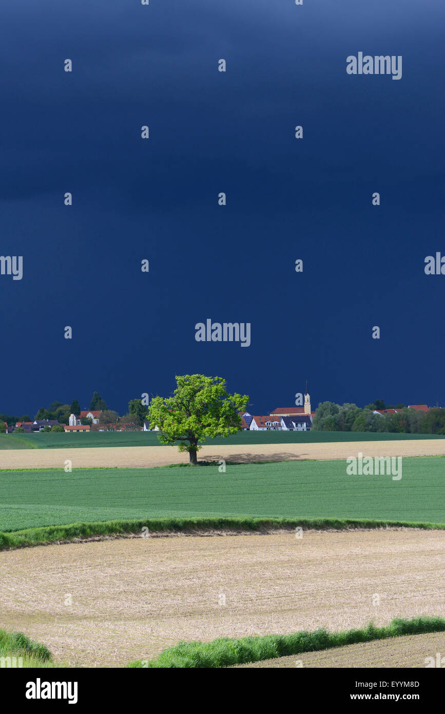 bedrohlich dunkle Gewitter über Feld Landschaft mit Dorf, Deutschland, Bayern Stockfoto