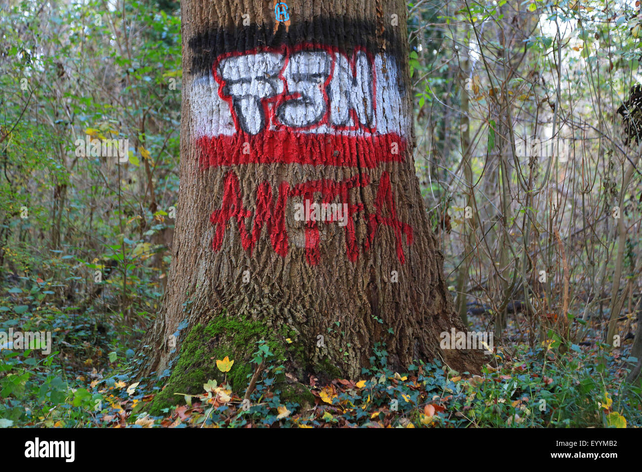 Graffiti auf einem Baumstamm, Deutschland Stockfoto